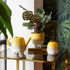 Κασπό Mojave Glaze yellow large